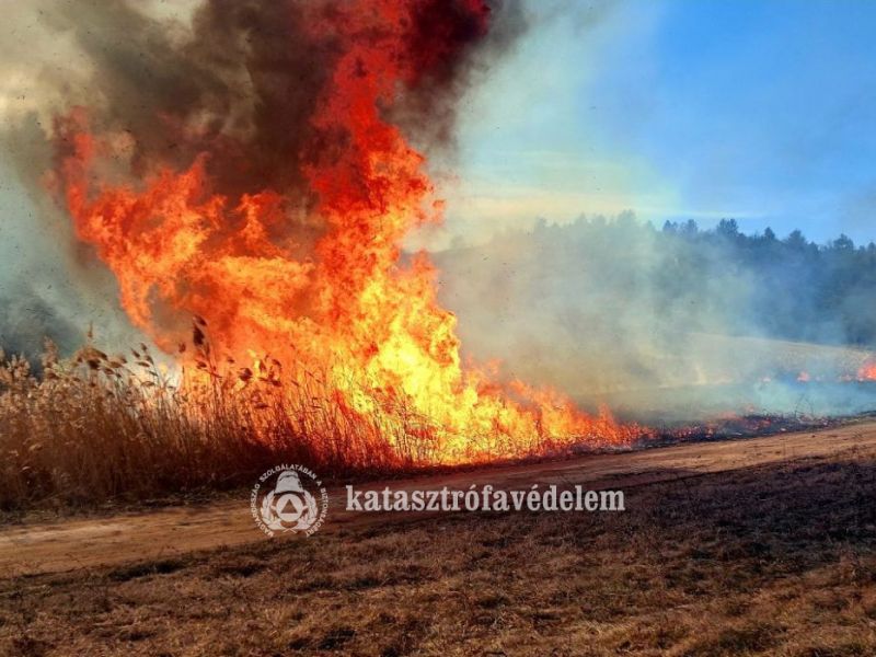 Több mint harminc riasztás a lángoló növényzet miatt. Fotó: Ózdi HTP, Miskolci HTP, katasztrófavédel