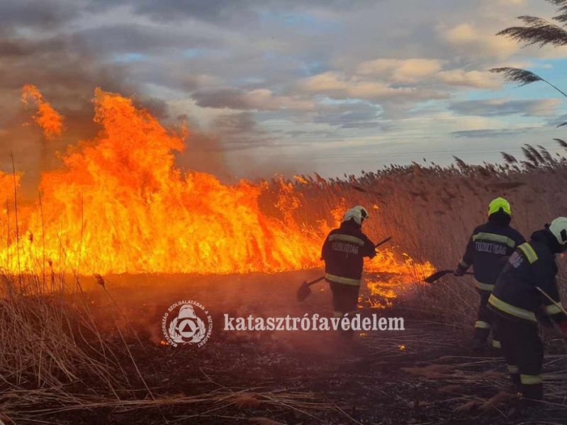 Több mint harminc riasztás a lángoló növényzet miatt. Fotó: Ózdi HTP, Miskolci HTP, katasztrófavédel