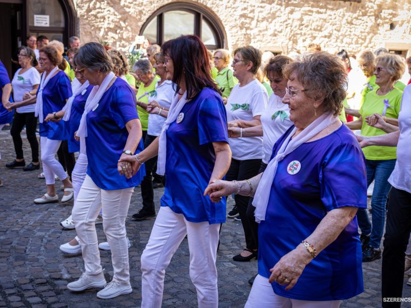 A Rákóczi-vár udvarát szeptember 17-én délelőtt mosoly, zene és lila szalagokkal díszített ruhákban 