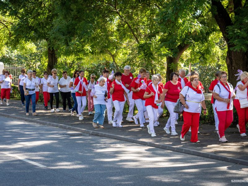 A Rákóczi-vár udvarát szeptember 17-én délelőtt mosoly, zene és lila szalagokkal díszített ruhákban 